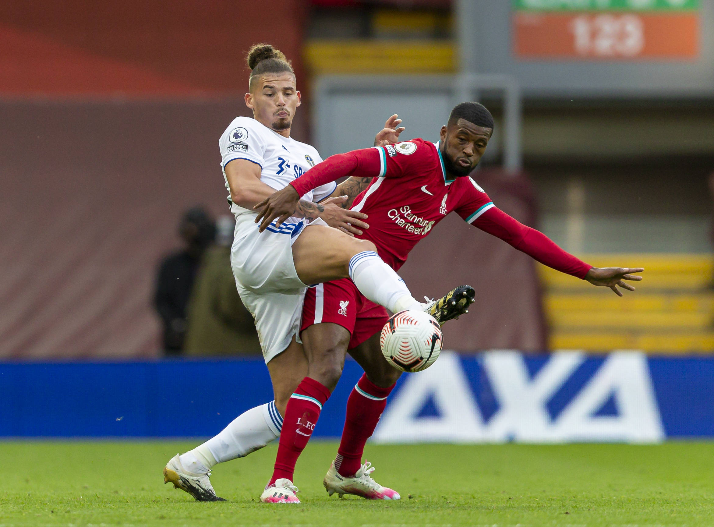 国球迷能够 国球迷能够