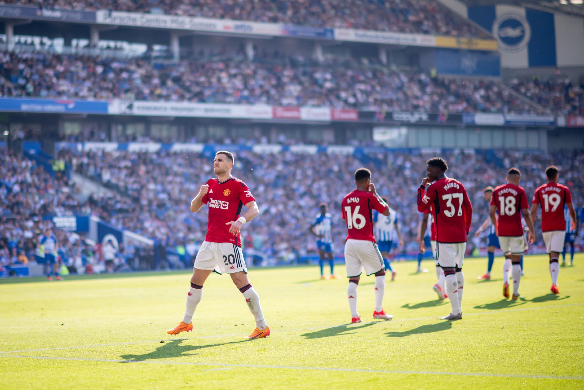 本土球员的 本土球员的